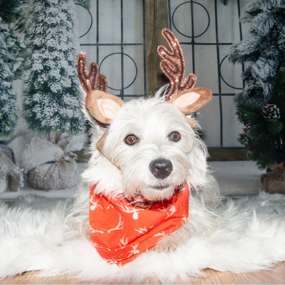 KW Bandanas Antlers bandana